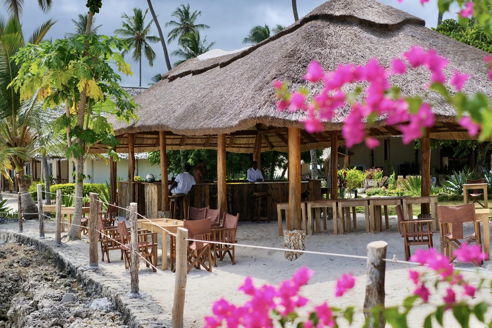 Beach bar under bougainvillea