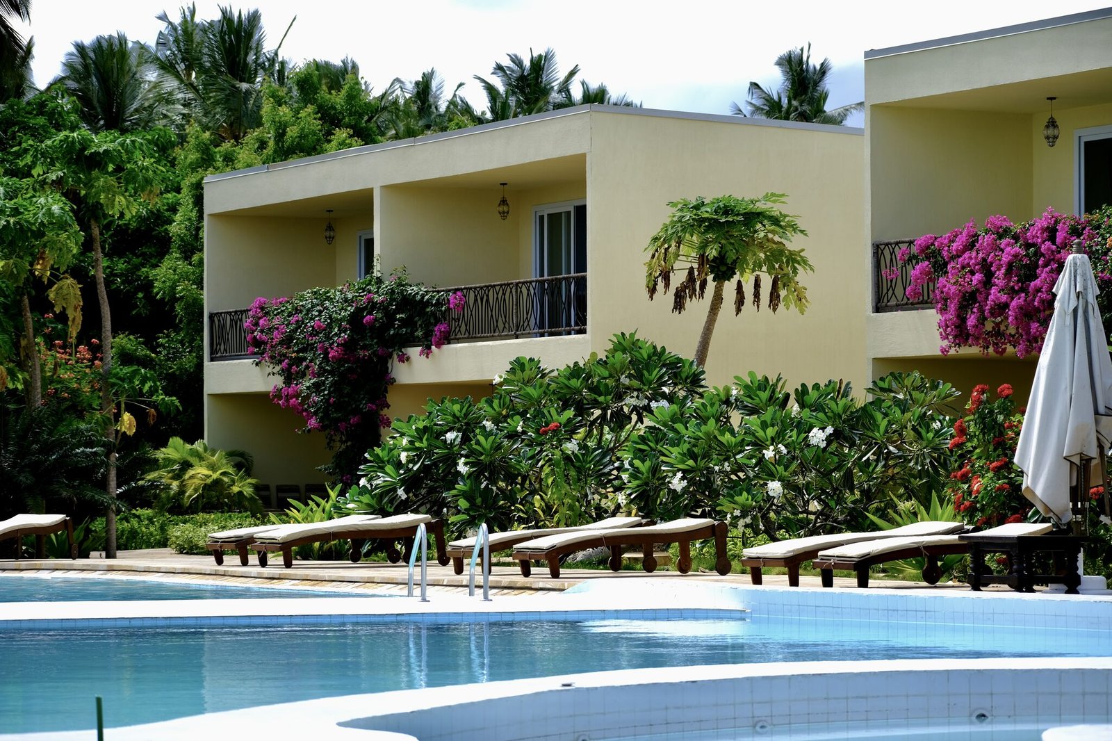 Swimming pool with sun loungers and tropical gardens