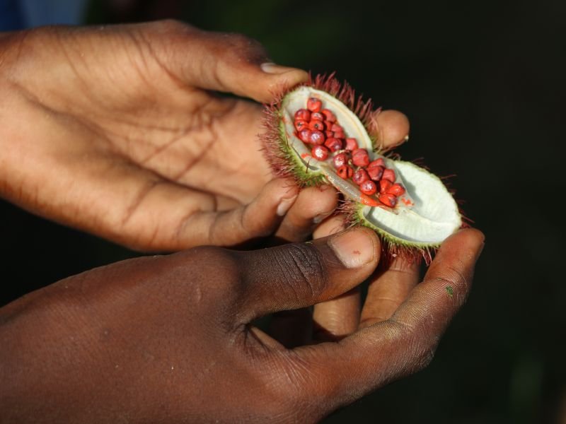 Zanzibar spice farm tour experience